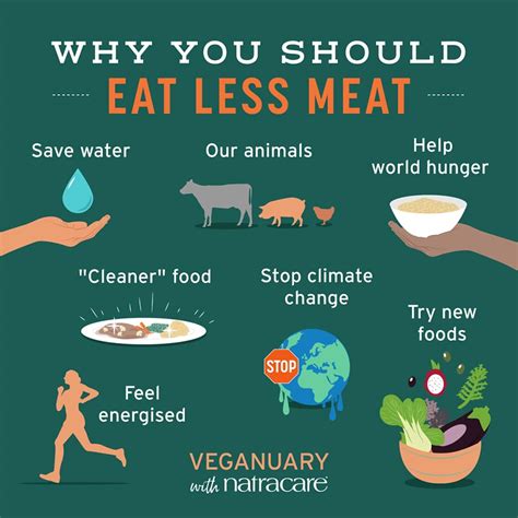 Is being vegan more sustainable than eating meat